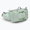 Borsetă Osprey Tempest 6 l frosty mint/ green botanica