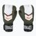Mănuși de box Everlast Prospect 2 green/white