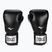 Everlast Pro Style 2 mănuși de box negru EV2120 BLK