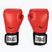 Everlast Pro Style 2 mănuși de box roșii EV2120 RED