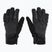 Mănuși de snowboard pentru bărbați Dakine Impreza Gore-Tex black S24