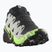 Încălțăminte de alergare pentru bărbați  Salomon Speedcross 6 GTX black/alloy/green gecko