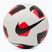 Minge de fotbal Nike Park Team 2.0 white/bright crimson/black mărimea 4