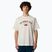 Tricou pentru bărbați The North Face Varsity Graphic white dune