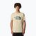 Tricou pentru bărbați The North Face Mountain Line Tee gravel