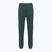 Pantaloni pentru femei The North Face Mountain Athletics Fleece deep cypress/space