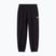 Pantaloni pentru femei The North Face Evolution Simple Dome Regular tnf black