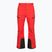 Pantaloni de schi pentru bărbați The North Face Chakal Regular elevation red