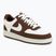 Încălțăminte pentru femei Nike Court Vision Low sail/cacao wow/coconut milk/sail