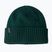 Căciulă de iarnă Patagonia Brodeo Beanie cascade green