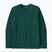 Longsleeve pentru bărbați Patagonia P-6 Logo Responsibili cascade green