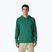 Bluză pentru bărbați Patagonia P-6 Logo Uprisal gem green