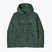 Bluză pentru bărbați Patagonia P-6 Logo Uprisal Hoody p-6 outline: canopy green