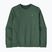 Bluză pentru bărbați Patagonia Fitz Roy Massif Daily Crew Canopy Green