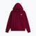 Bluză pentru femei The North Face Evolution Simple Dome Regular Hoodie burgundy crush
