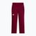 Pantaloni de schi pentru femei The North Face Lenado burgundy crush