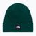 Căciulă de iarnă The North Face Dock Worker Recycled Beanie hunter green