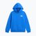 Bluză pentru copii The North Face Evolution Box NSE Pullover Hoodies active blue
