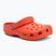 Papuci Crocs Classic starfish