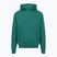 Bluză pentru bărbați Under Armour Rival LW Hoodie rack green/black
