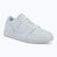 Încălțăminte pentru bărbați  Jordan Access Court Low white/pure platinum