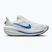 Încălțăminte de alergare pentru bărbați Nike Winflo 12 white/off white/lapis/blue crystal