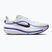 Încălțăminte de alergare pentru bărbați Nike Winflo 12 off white/white/wolf grey/black