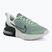 Încălțăminte de antrenament pentru bărbați Nike Air Max Alpha Trainer 6 steam/spruce aura/off white/black spruce