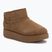 Încălțăminte pentru femei  Skechers Keep Cozy chestnut