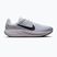 Încălțăminte de alergare pentru bărbați Nike Quest 7 pure platinum/white/wolf grey/black