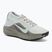 Încălțăminte de alergare pentru bărbați Nike ACG Pegasus Trail GORE-TEX Light Silver/Light Army/Light Silver