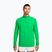 Bluză de alergare pentru bărbați Nike Stride 1/4 Zip Dri-Fit green spark