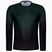 Bărbați ASSOS Trail Jersey T3 LS tricou de ciclism verde 51.24.210.6F