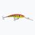 Wobler Rapala Deep Tail Dancer hot tiger
