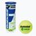 Mingi de tenis Babolat Green 3 buc. yellow