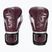 Mănuși de box Venum Elite Evo burgundy/silver