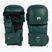 Mănuși de box pentru bărbați Venum Impact Evo Boxing Gloves emerald green