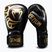 Mănuși de box Venum Giant 2.0 Mike Tyson Pro Boxing black/gold