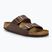 Papuci BIRKENSTOCK Arizona BF Narrow dark brown