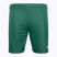 Pantaloni scurți de fotbal pentru copii Capelli Sport Cs One Youth Match verde/alb pentru copii