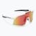Ochelari de soare DYNAFIT Trail Evo white/black