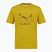 Tricou pentru bărbați Salewa Eagle Geometric olive oil