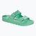 Papuci BIRKENSTOCK Arizona EVA Regular bold jade