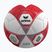 Minge de fotbal ERIMA Hybrid Training 2.0 size 5 red/silver