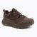 Încălțăminte de trekking pentru bărbați Jack Wolfskin Terraquest Texapore Low gecko bear