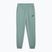 Pantaloni pentru bărbați PUMA ESS No. 1 Logo Sweatpants TR CL green moon