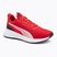 Încălțăminte de alergare PUMA Flyer Lite 3 puma black/for all time red