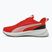 Încălțăminte de alergare PUMA Flyer Lite 3 puma black/for all time red