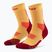 Șosete compresive pentru bărbați CEP Run Mid Cut 5.0 marigold/burgundy