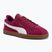 Încălțăminte  PUMA Club II berry/puma white/puma gold